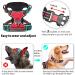 Buy Heele Dog Crockery & Adjustable Reflective Breast Harness - Anti-Train Running Harness with Lockable Snap Lock Red Size L (43-86cm) - International Shipping Available - Buy Online on GoSupps.com