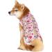 Cool Summer T-Shirt for Medium & Large Dogs | Breathable Sun Protection Pet Clothing - Buy Online on GoSupps.com