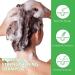  Bibonse Rosemary shampoo with rosemary oil for hair growth vegan rosemary oil against hair loss stimulates hair growth anti-hair loss shampoo - Buy Online on GoSupps.com