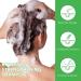 Hair Growth Serum & Rosemary Shampoo - Biotin & Castor Oil for Hair Loss | Effective Regrowth Products for Women & Men - Buy Online on GoSupps.com
