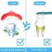 Cellena Kids 3-Sided Toothbrushes - Gentle Clean Manual Toothbrush for Children (Ren-2pcs) Red-2pcs - Buy Online on GoSupps.com