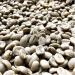 West End Coffee Roasters Espresso Prisca Medium Roast Whole Bean Ethiocally Sourced (12oz/340g) Espresso Prisca 340 g (Pack of 1) - Buy Online on GoSupps.com