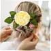 Didiseaon Hair Side Combs for Women French Hair Combs Dappen Dish for Acrylic Nails Rainbow Pencil Holder Wedding Hair Comb Flower Hair Decor Flower Headdress Women's Plastic Leaf - Buy Online on GoSupps.com