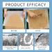 Powerful Sand Curing Spray for Wall & Floor Powerful Wall and Floor Sand Curing Spray Sand-Fixing Water Repellent Sand Curing Spray Sand Curing Agent Spray Sand Fixing Agent Spray (3PCS) - Buy Online on GoSupps.com