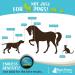 Raw Paws Pet Natural Dog & Cat Paw Balm 4 oz - Paw Soother, Butter, Cream & Wax for Moisturized Paws - Buy Online on GoSupps.com