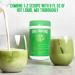Vital Proteins Unflavored Matcha Collagen Latte - 11.6 oz (329 g) - Boost Your Wellness - Buy Online on GoSupps.com