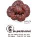Reishi Bio Powder 200g - Premium Quality from Slovenia | Sustainable EU Production | German Brand | High Product Safety - Buy Online on GoSupps.com