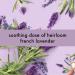 Love Beauty and Planet Soothing Spa Hand Wash with Argan Oil & Lavender | 13.5 fl oz - Buy Online on GoSupps.com