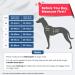 Pawaii Dog Harness for Small Dogs - Anti-Pull Reflective Adjustable & Breathable - Deep Sea Blue (43-55cm) - Buy Online on GoSupps.com