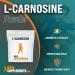 BulkSupplements L-Carnosine Powder Eye Supplement - 50g (1.8 oz) - 1.76oz Pack - Carnosine Supplement - Buy Online on GoSupps.com