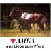 Buy AMKA Leather Cavesson with Bit Buckle - Premium Quality & Comfort for Equine Enthusiasts | International Shipping Available - Buy Online on GoSupps.com