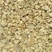 Colombian Excelso Green Coffee Beans Raw/Unroasted Beans - 1KG Arabica Coffee Beans - Buy Online on GoSupps.com