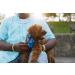 RUFFWEAR Front Range Medium Dog Collar - Adjustable Length, Comfortable Fabric, Aluminium V-Ring - 36-51cm - Spring Fade - Buy Online on GoSupps.com