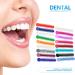 40-Piece Orthodontic League Ligaments | Multicolored Braces Gummy Elastomer-O-Rings & Dental Ligatures for Tooth Correction - Buy Online on GoSupps.com