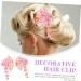 MAGICLULU 3 Pairs Hairpin Fringe Outfit Crystal Decor Hanfu Hair Hair Accessories Hair Accessories for Hair Pin Bell Hair Clamps Miss Clothing Alloy Pink Wedding - Buy Online on GoSupps.com