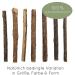 KaraLuna 8x Catnip Sticks - Natural Dental Treat & Cat Toy with Matatabi Silvervine - Buy Online on GoSupps.com