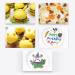 Food Coloring Pens Color Double Sided Edible Food Coloring Marker with Fine and Thick Tip Food Grade Marker Green - Buy Online on GoSupps.com