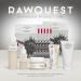 Echinacea Calming Daily Face Wash | RAWQUEST Hypoallergenic Gel for Dry & Sensitive Skin | Deep Cleansing Makeup Removal & Hydration 150ml - Buy Online on GoSupps.com