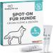 The Home Pet Lab Spot on Teck and Flea Protection for dogs (L: 20-30 kg) effective tick protection for the dog 3 months long-term effect against ticks