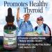 Bladderwrack Thallus Extract - Organic Immune Booster & Thyroid Support | Nature's Answer 1 Fl Oz - Buy Online on GoSupps.com