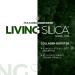 Living Silica Plant Based Collagen Booster | Vegan | Supports Healthy Collagen and Elastin Production for Joint & Bone Support Glowing Skin Strong Hair & Nails 500 ml | 16.9 Fl Oz 16.9 Fl Oz (Pack of 1) - Buy Online on GoSupps.com