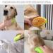 Cat Steam Brush Steamy Cat Brush - 3 in1 Pet Steam Brush Steam Brush for Dogs & Cats Multifunctional Cat Grooming Brush Pet Massage Comb Pet Hair Removal Comb (green) - Buy Online on GoSupps.com