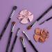 Sigma Basic Eye Brush Set - 7 Essential Makeup Brushes for Flawless Application - Buy Online on GoSupps.com