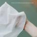 Goodwipes Really Big Body Wipes - Fresh Scent with Tea Tree Oil & Peppermint - 60 Count (6 Packs) - Buy Online on GoSupps.com