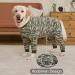 YeaPeeto One-Divider Pajamas for Dogs - XL Camouflage | Relaxation Wound Protection Anti-Licking for Large & Medium Breeds | Hair Loss & Allergy Relief - Buy Online on GoSupps.com