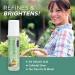 Life-flo Salicylic Acid 2% Roll-On 7ml | Acne Treatment & Skin Care Solution - Buy Online on GoSupps.com