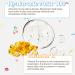 Purifec Hyaluronic Acid 100 Advanced Facial Serum with Vitamin E Oil Moisturises Dehydrated Skin Leaves Young Skin Nourished and Glowing 30ml - Buy Online on GoSupps.com