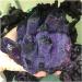 Natural Amethyst Angel Aura Quartz Crystal Cluster Specimen Gift HOMEZHOU - Buy Online on GoSupps.com