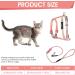 Adjustable Tiesome Cat Dishes with Leash & Collar Set - Color Gradient Kitten Dishes for Outdoor Walks (Orange & Yellow) - Buy Online on GoSupps.com