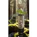 Flavored: 10L Pure Oxygen Canister | Flavored and Infused with Organic Peppermint. 99.7% Supplemental Oxygen Can | Patented Compact Compression Technology | Enhances Concentration Performance Energy & Recovery | Ideal for Sports Study & Travel | 2 Pack |  - Buy Online on GoSupps.com