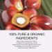Batana Oil for Hair Growth | Prevent Dryness & Split Ends - Pure Natural Formula - Buy Online on GoSupps.com