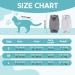 Avont Cat Recovery Suit - 2 Pieces Leak Protection Post-Op Clothing for Cat Wounds & Skin Diseases - Gray Small - Buy Online on GoSupps.com