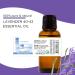 Lavender 40/42 Essential Oil 8 fl oz (237 ml) Aluminum Bottle w/Plug Cap 100% Pure Essential Oil GreenHealth - Buy Online on GoSupps.com