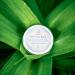 Suntribe Bio-Fleet Non-Balm Eucalyptus & Jojoba 100ml | 100% Organic Natural Cooling Formula | Zero Waste | Peppermint Eucalyptus Fragrance - Buy Online on GoSupps.com