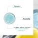 Ren Furterer - HEAD SPA - Astera - Soothing Pre-shampoo Scalp Care - Soothing Freshness Concentrate With Cold Essential Oils Freshness & Purity - 50ml - Buy Online on GoSupps.com