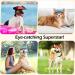 Pawaboo Dog Baseball Cap - Adjustable Sports Cap with Elastic Ear Holes for Small Medium & Large Dogs | Sun Protection Dog Outfit (Red M) - Buy Online on GoSupps.com