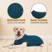 Axcimond Dog Surgery Recovery Suit - Spay Suit for Medium Large Dogs - Male Female Pet Shirt Alternative - Blue - Buy Online on GoSupps.com