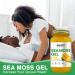 Organic Raw Sea Moss Gel (Mango Pineapple) 24oz | Wildrafted Gold Sea Moss from Saint Lucia | Vegan Superfood with 92 Vitamins and Minerals - Buy Online on GoSupps.com