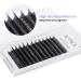 4D Volume Easy Fan W-Shaped Lash Extensions - 0.07D Curl 8-15mm | W4D-0.07D/8-15Mix - Buy Online on GoSupps.com
