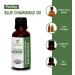 100% Pure Blue Chamomile Essential Oil - Natural & Therapeutic Grade - 0.16 Fl.Oz (4.7 ml) - International Shipping Available - Buy Online on GoSupps.com