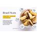 Clevera Organic Brazil Nuts 12 Ounces Fresh - Raw -Kosher - HACCP - Small Batch - Sustainably Sourced - Straight from The Farm - Non-GMO - Gluten free 396.89 g (Pack of 1) - Buy Online on GoSupps.com