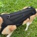Dog Back Brace IVDD Pet Hip Brace Support with Leash Comfortable Dog Spine Support Vest for Small and Medium Sized Pets with Arthritis Herniated Disc Or Spinal Surgery Recovery (XXL) - Buy Online on GoSupps.com