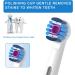Zegupal Replacement Toothbrush Heads for Oral-B Braun - 4 Pack 3D White Electric Toothbrush Refill - Compatible & Quality Guaranteed - Buy Online on GoSupps.com