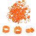 Amosfun 100 Pcs Pigeon Anklet Ring Protector Pigeon Foot Band Clip Foot Ring for Pigeon Baby Xuan Feng Cuff 1.3X1.3CM Orange - Buy Online on GoSupps.com