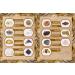 Rokkolino Treasure Chest: Real Minerals Gemstones & Fossils - Discover Nature's Treasures - Buy Online on GoSupps.com