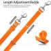 Suplutux 3m Dog Leash - Robust Training Line with D-Carabiner & Grip Pad for All Dog Sizes | Includes Storage Bags - Orange - Buy Online on GoSupps.com